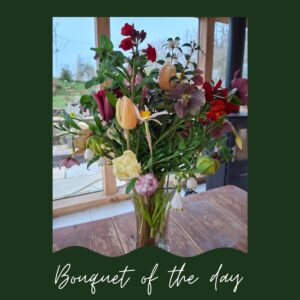 Bouquet of the Day