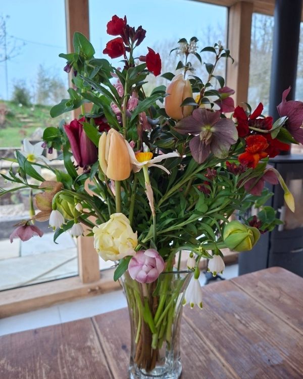 Image of The Remedy Garden Bouquet of the day